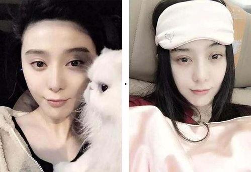 女明星男明星吃瓜图片视频,明星同框吃瓜瞬间，笑料百出！