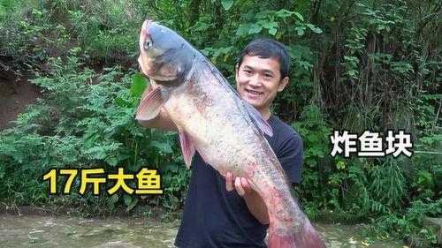 刘大瓜吃八斤大鹅视频,吃相豪迈引网友热议