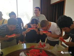 包粽子吃瓜的视频,包粽子赏瓜乐享时光