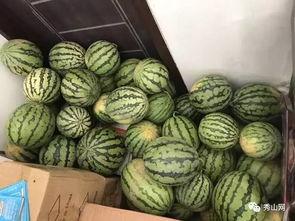 海棠瓜能吃吗怎么吃视频,视频教你轻松享美食