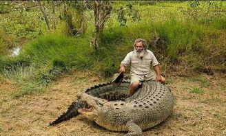 鳄鱼吃瓜搞笑视频下载安装,趣味横生，下载安装笑翻天