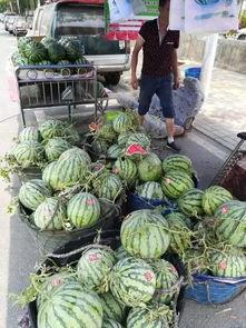 临漳县吃瓜事件视频最新