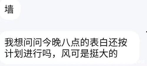 表白视频吃瓜文案,甜蜜瞬间！揭秘表白视频背后的吃瓜故事