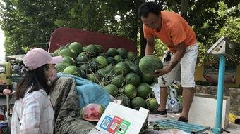 济宁曲阜吃瓜事件视频