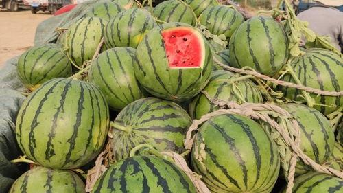 山东高密夜市吃瓜视频