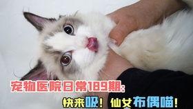 自娱自乐吃瓜视频